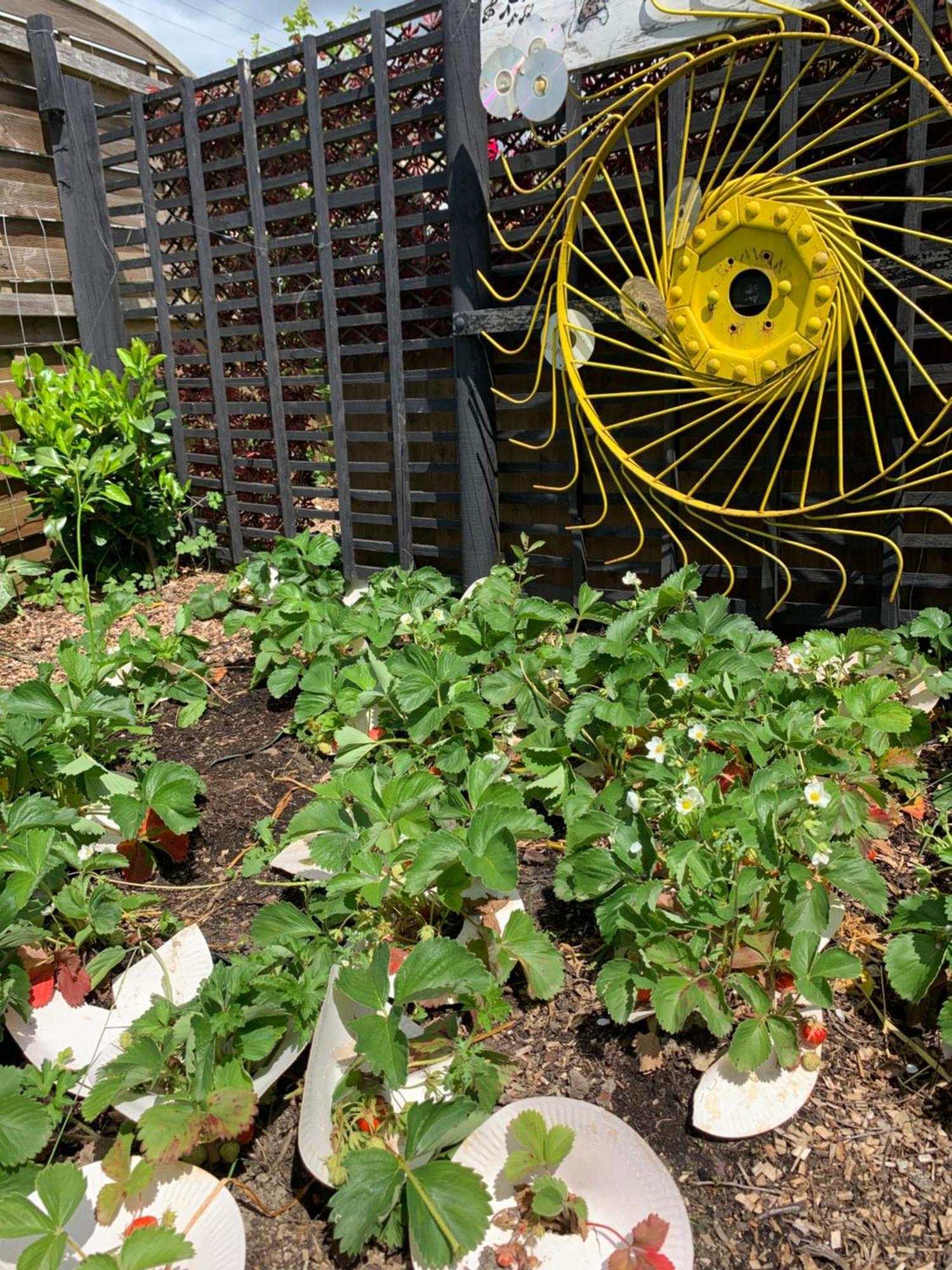 Maison Les Berrys Bourganeuf Ngoại thất bức ảnh